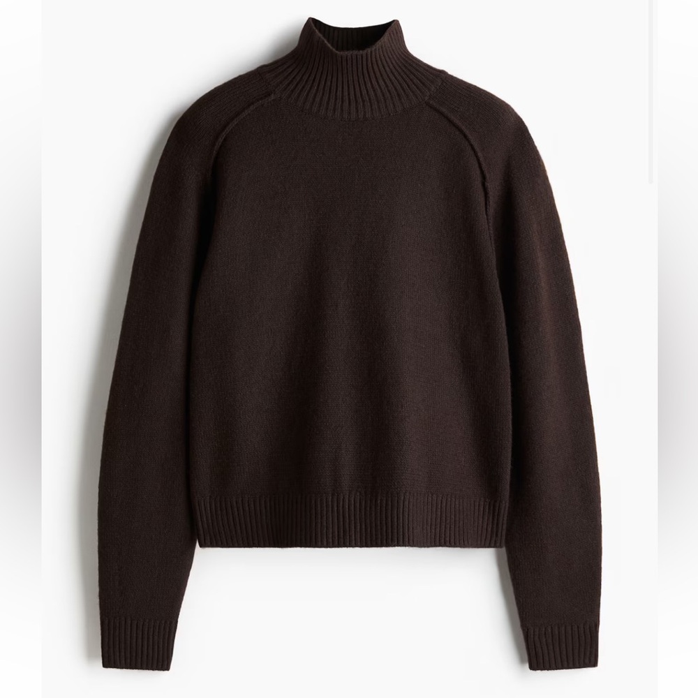 H&M Mock Wool Sweater